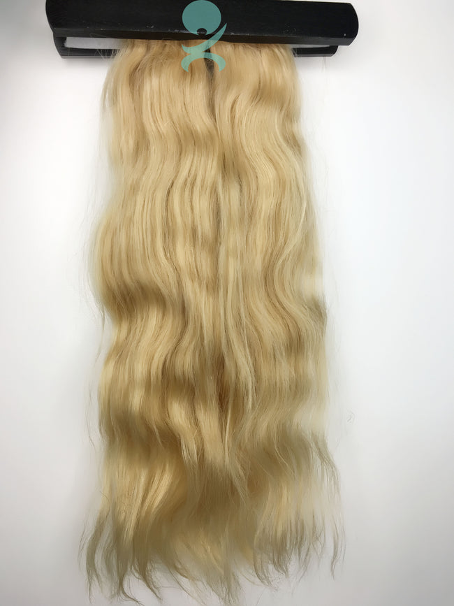 FORM CB - BLONDE DONOR HAIR